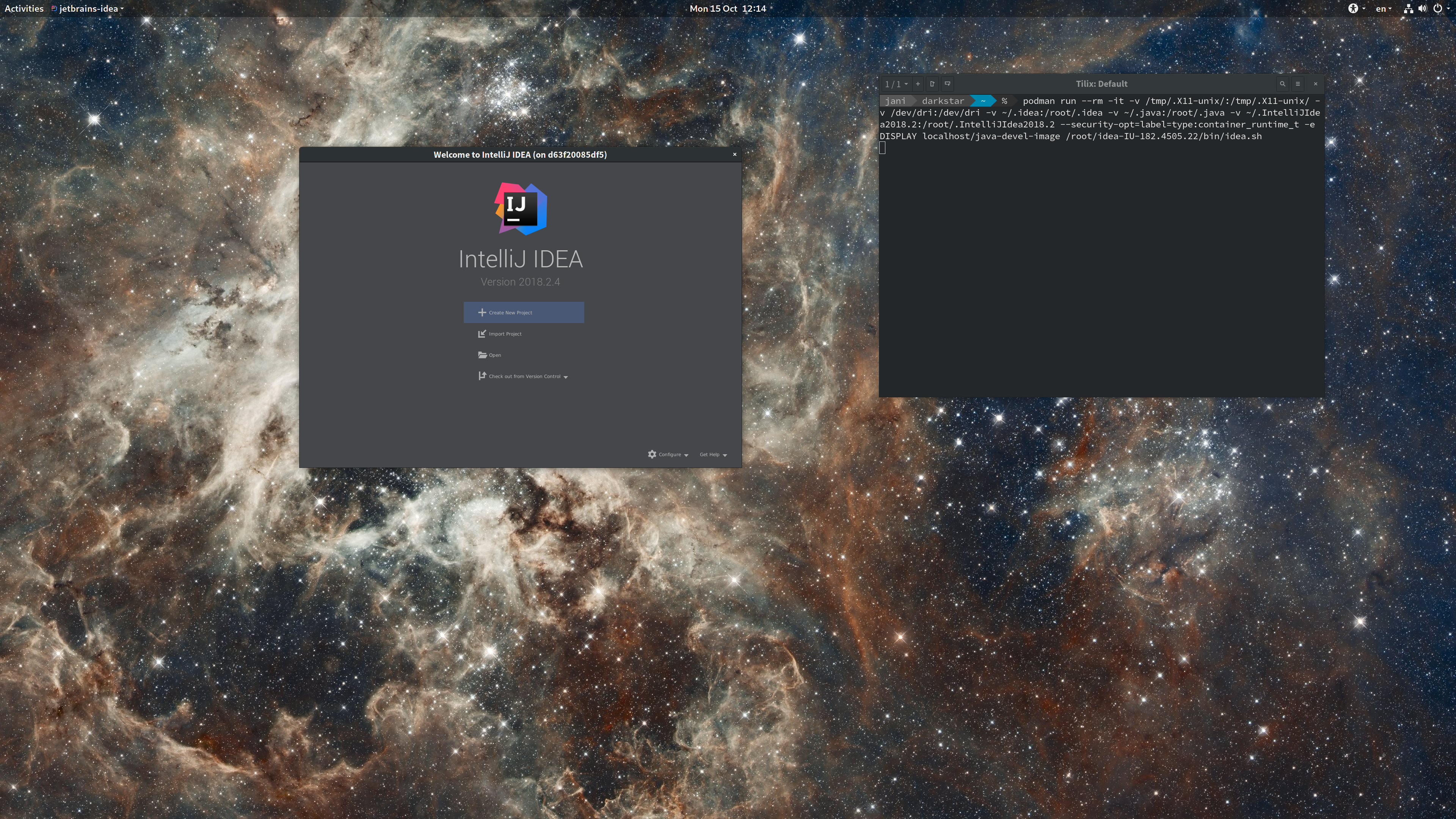 Screenshot of IntelliJ IDEA running off of a container.